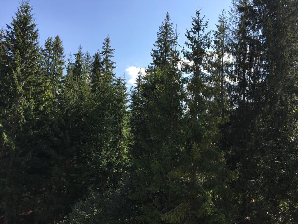 Apartmenty Patris Tatranska Strba Bagian luar foto