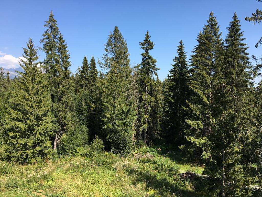 Apartmenty Patris Tatranska Strba Bagian luar foto