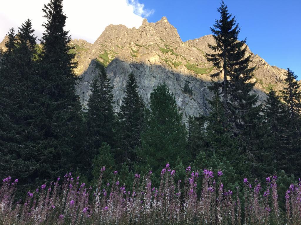 Apartmenty Patris Tatranska Strba Bagian luar foto