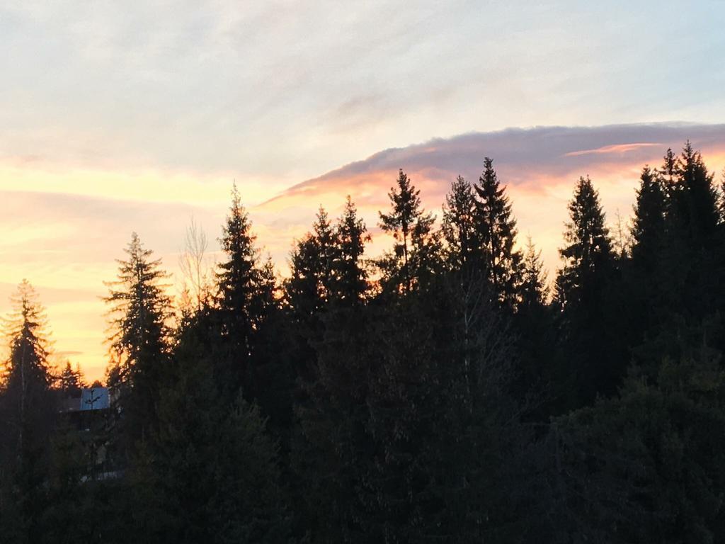 Apartmenty Patris Tatranska Strba Bagian luar foto