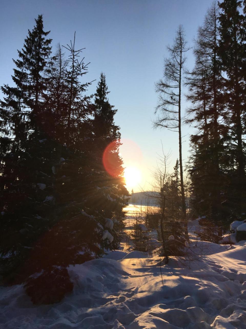 Apartmenty Patris Tatranska Strba Bagian luar foto