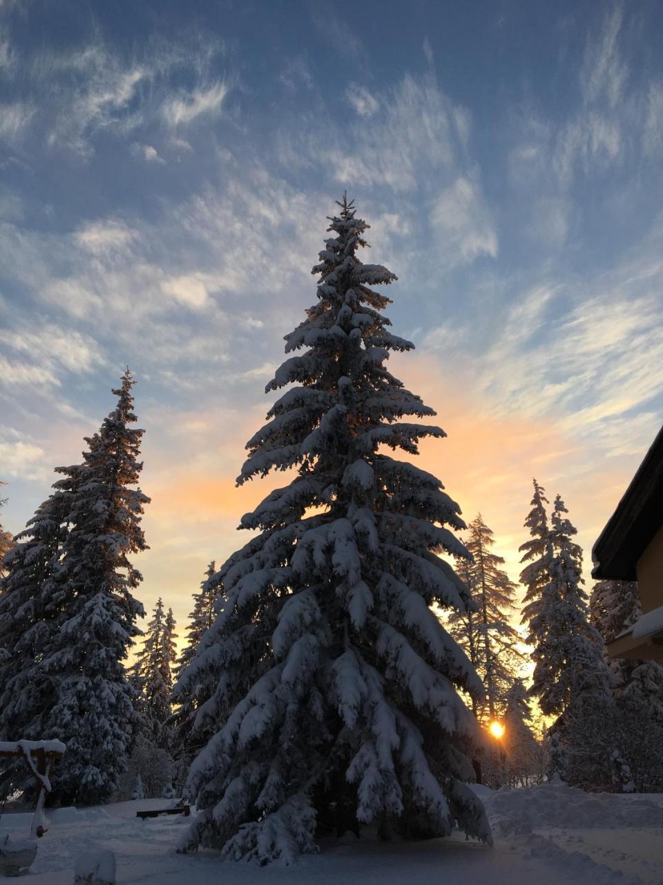 Apartmenty Patris Tatranska Strba Bagian luar foto