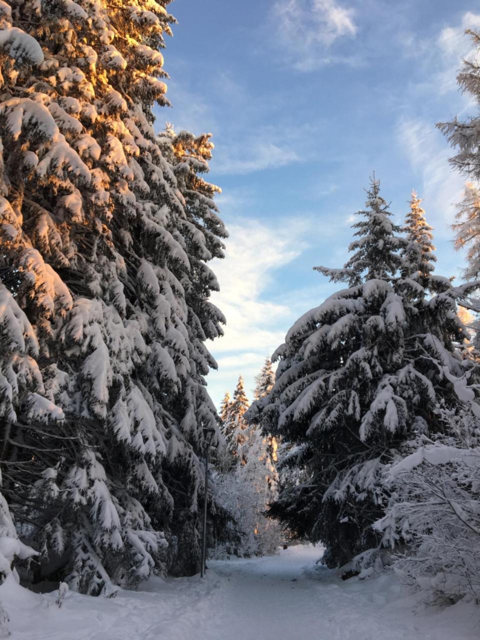 Apartmenty Patris Tatranska Strba Bagian luar foto