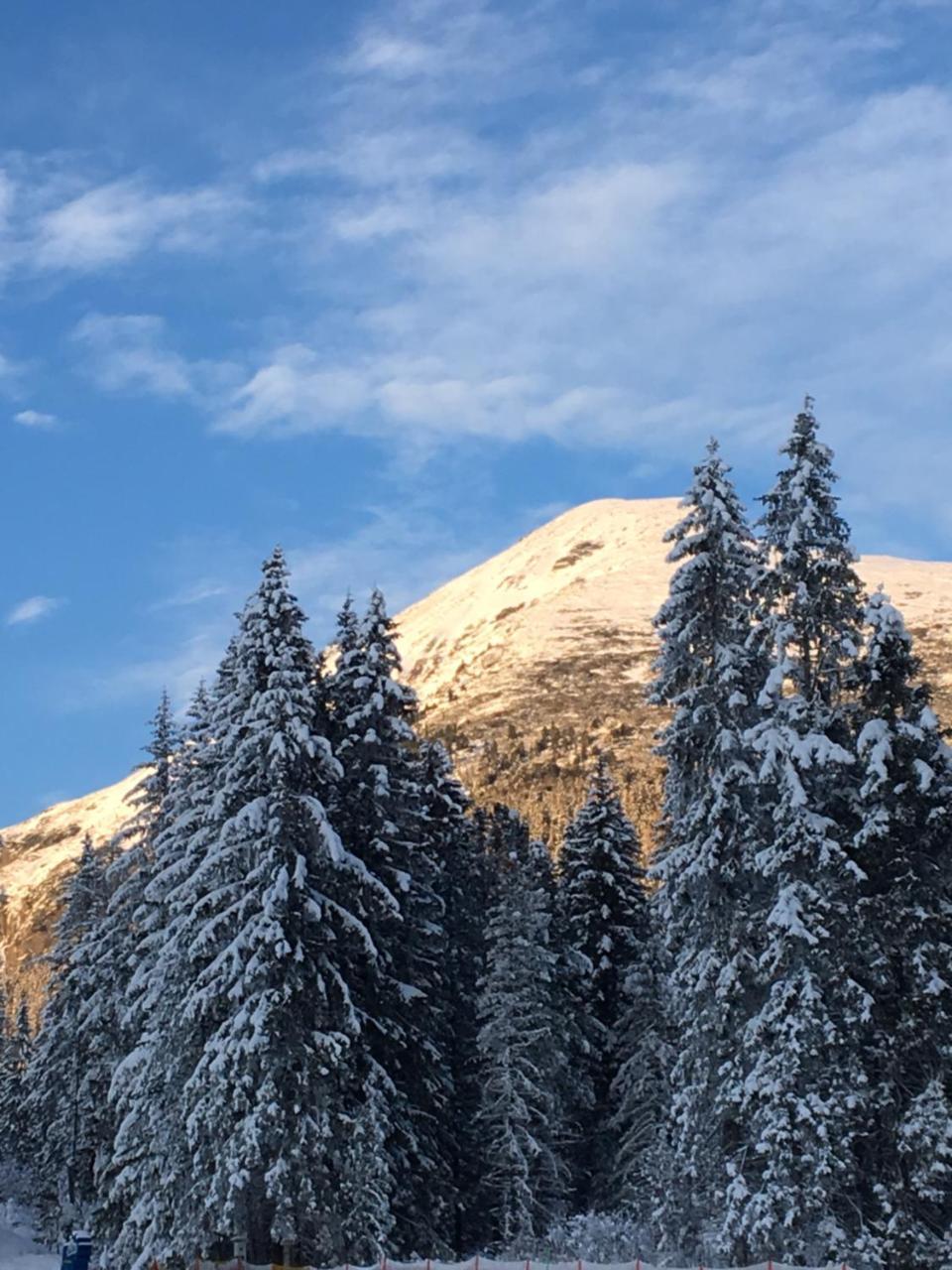 Apartmenty Patris Tatranska Strba Bagian luar foto